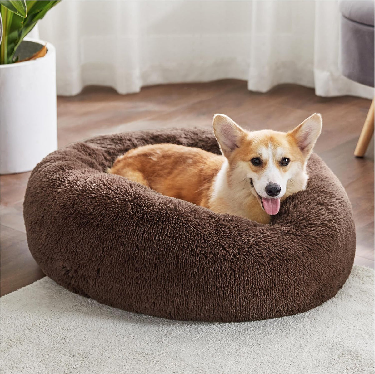 Calming Donut Dog Bed, 33 in, Washable