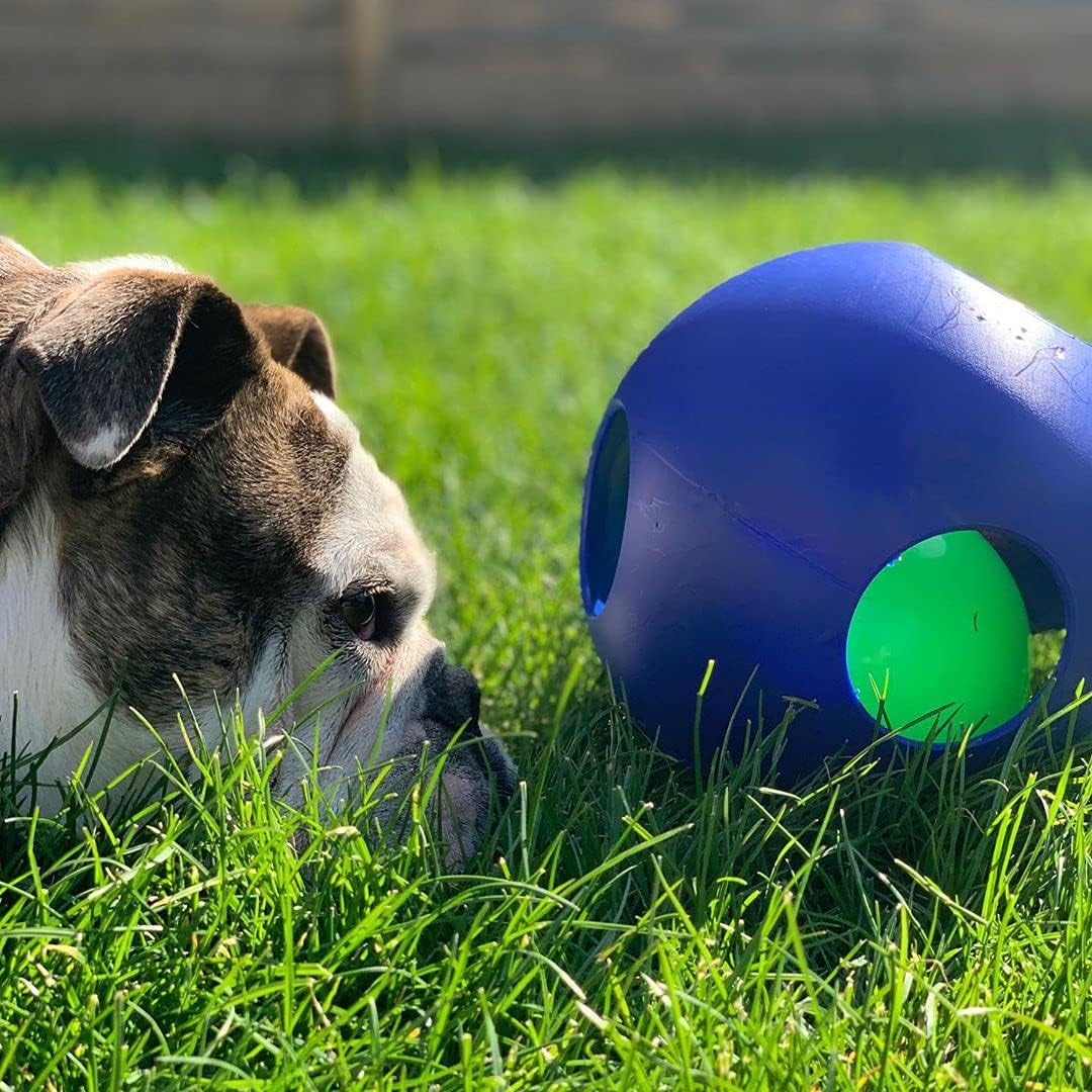 Interactive Teaser Ball for Dogs, Large (8 in)