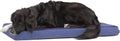 Orthopedic Memory Foam Dog Bed, Navy (Large)