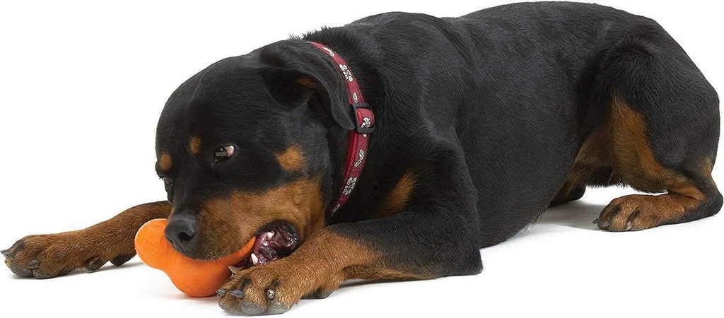 Treat-Dispensing Chew Toy (Large)