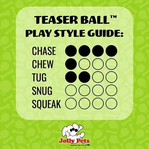 Interactive Teaser Ball for Dogs, Large (8 in)