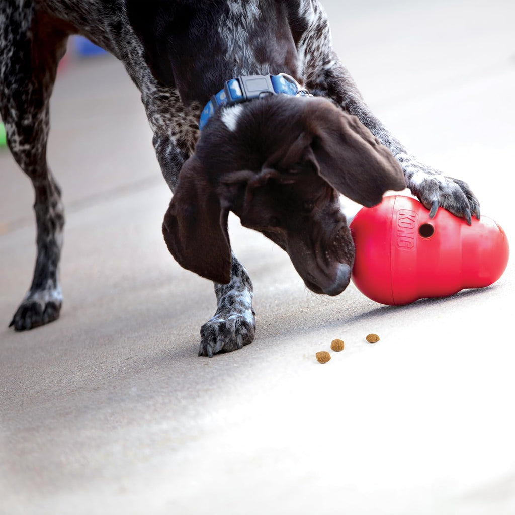 Interactive Treat-Dispensing Dog Toy (Large)