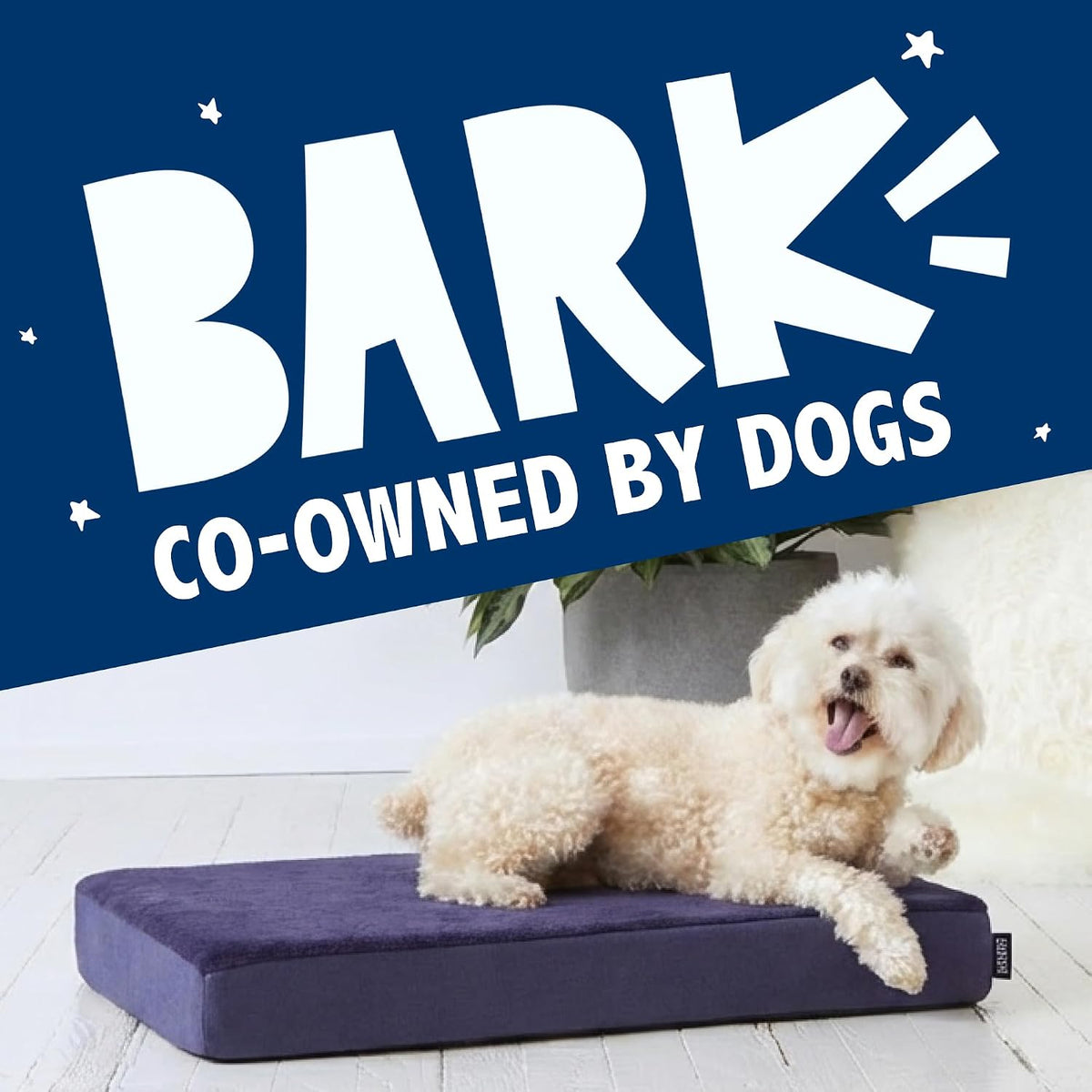 Orthopedic Memory Foam Dog Bed, Navy (Large)