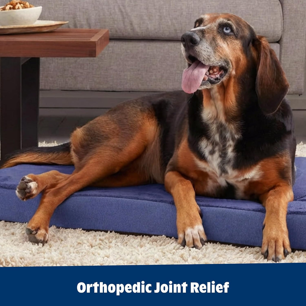 Orthopedic Memory Foam Dog Bed, Navy (Large)